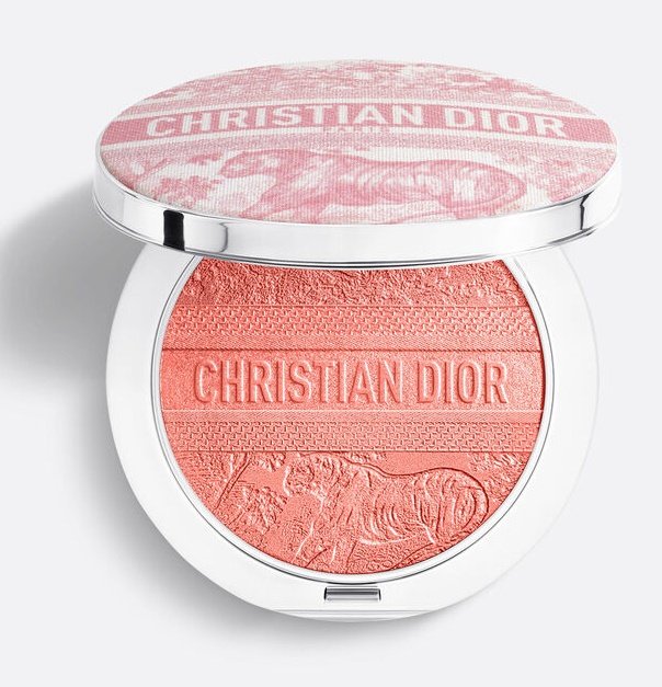 I Did Order The Dior Without end Glow Luminizer from the Summer season 2025 Assortment I Did Order The Dior Without end Glow Luminizer from the Summer season 2025 Assortment